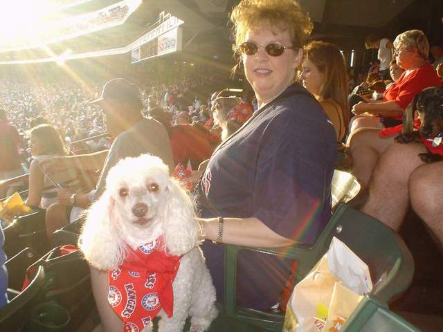 dog night at the ballpark